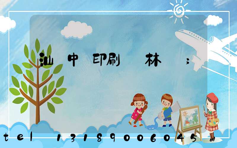 汕頭中興印刷廠 林偉國
